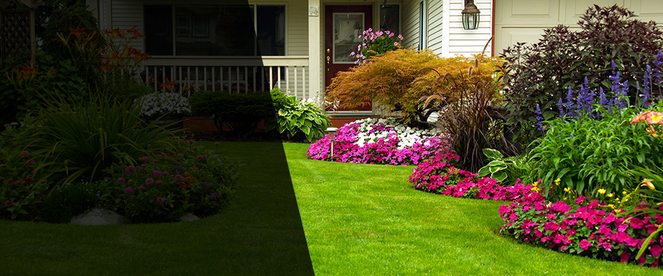 Granada Hills Landscapers