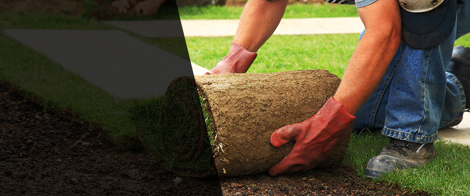 Granada Hills Landscapers